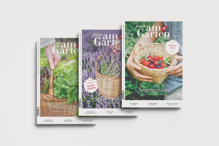 Kunde Freude am Garten, Cover von drei Ausgaben mit Salat, Lavendel und Erdbeeren im Korb